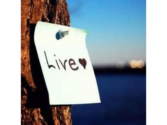 Invest In Living Your Best Each Day