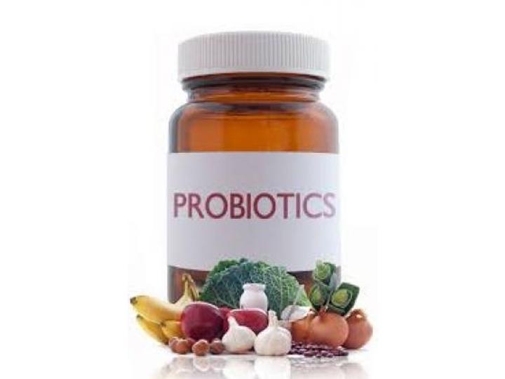 Probiotics Promote A Healthy Digestive System