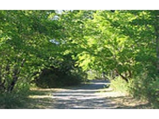 The Road Not Taken