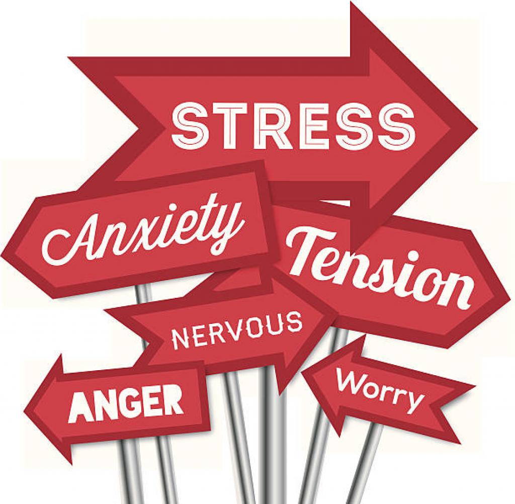 Surviving The Stress And Anxiety Of COVID-19