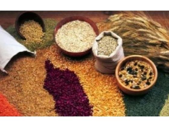 Eat Whole Grains For Your Good Health