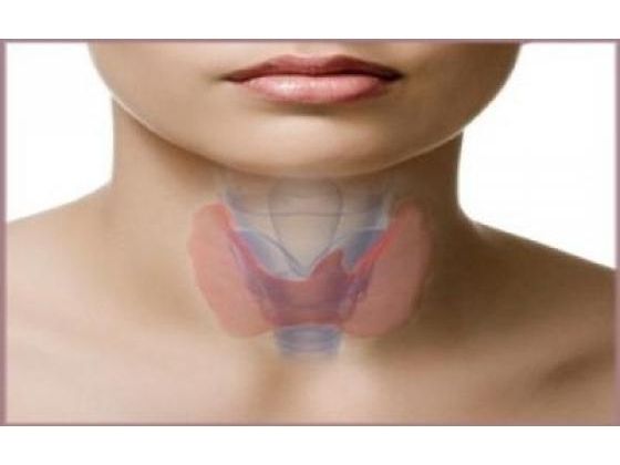Not Feeling Exactly Right? Thyroid Check Needed