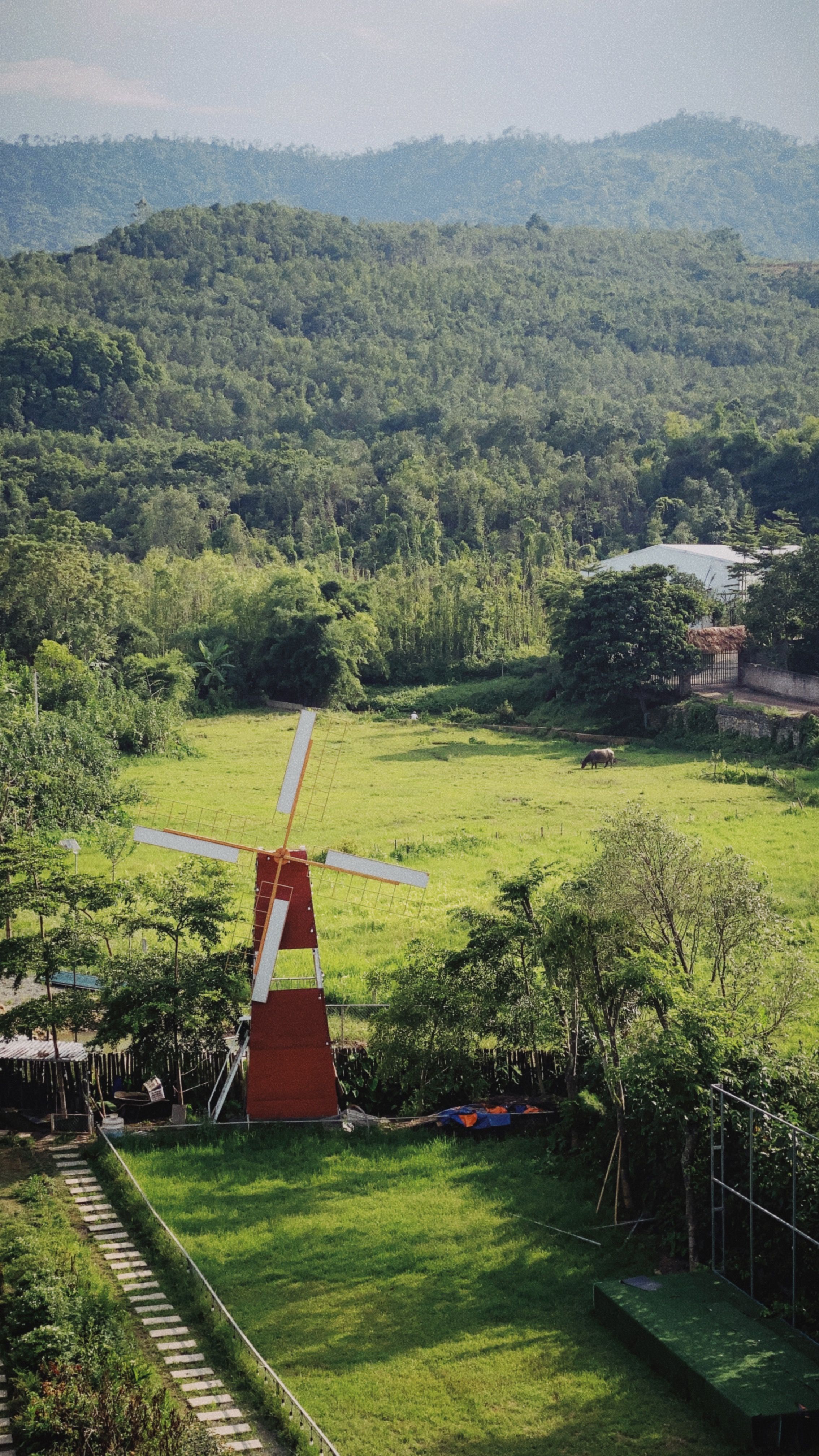 article-new-1750350725558-vi271_QfEeu9fVn