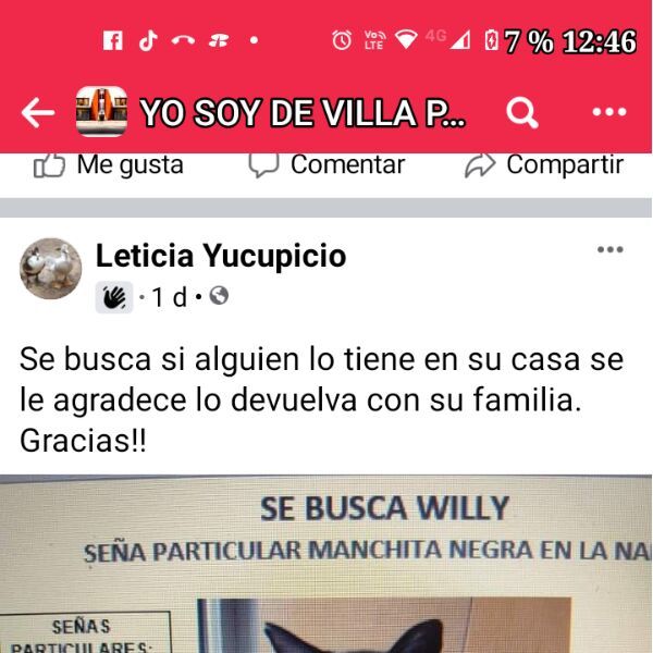 cartel de gato perdido