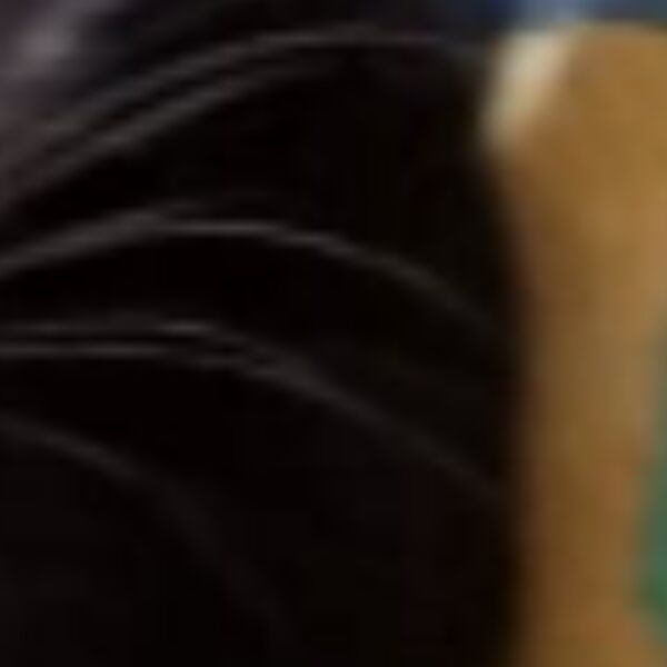 cartel de gato perdido