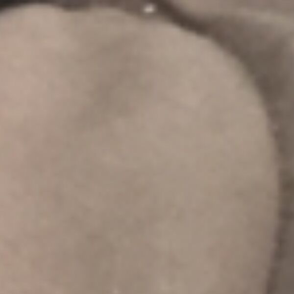 cartel de gato perdido