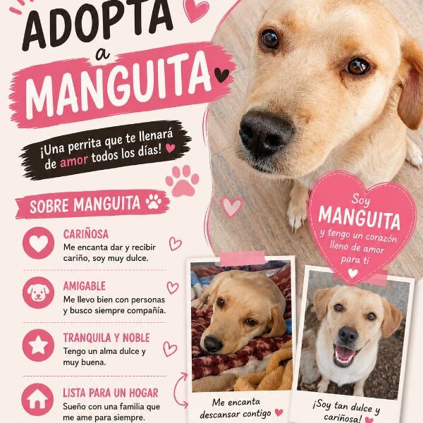 cartel de perro en_adopcion