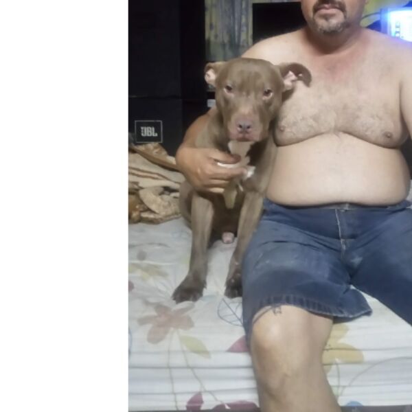 cartel de perro perdido