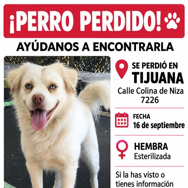 cartel de perro perdido