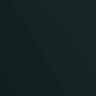 cartel de perro perdido