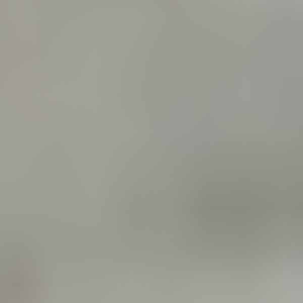 cartel de perro perdido