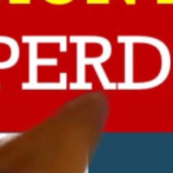 cartel de perro perdido