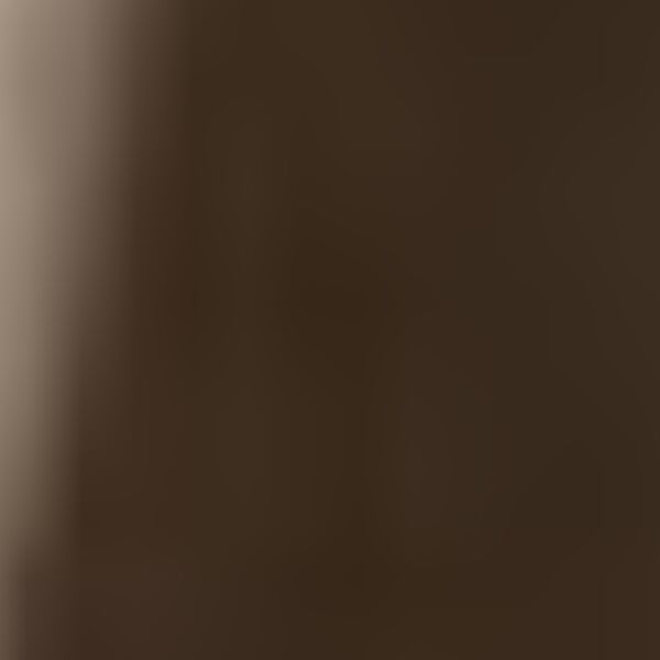 cartel de perro perdido