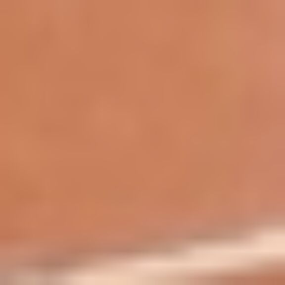 cartel de perro perdido