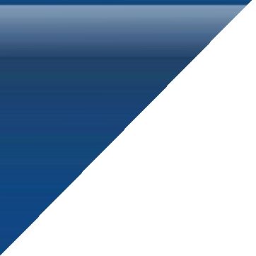 cartel de perro perdido