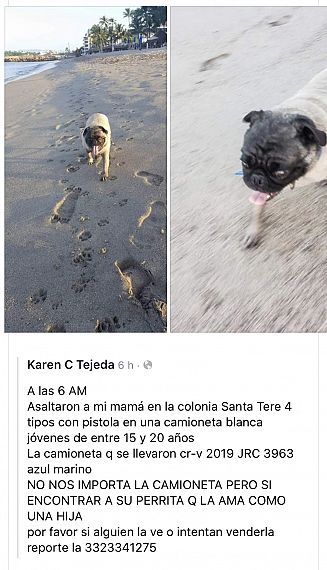 cartel de perro perdido