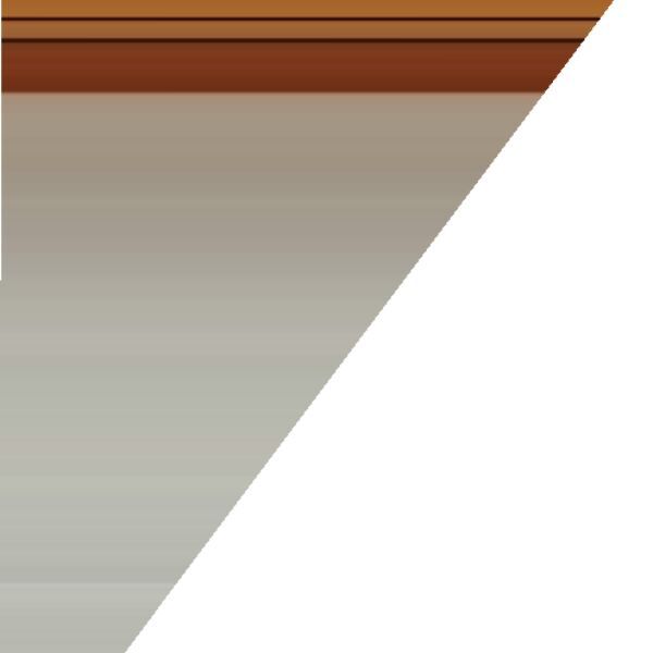 cartel de perro perdido