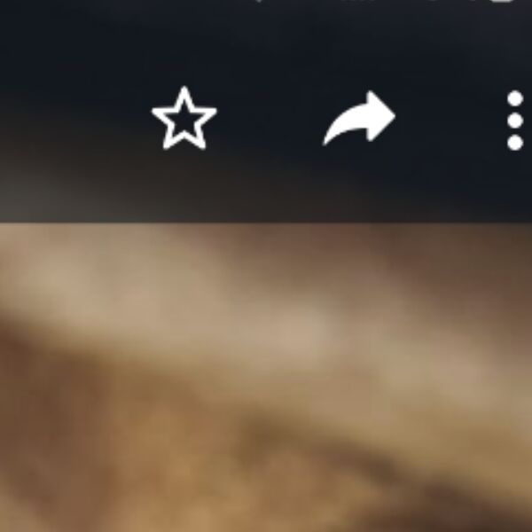 cartel de perro perdido