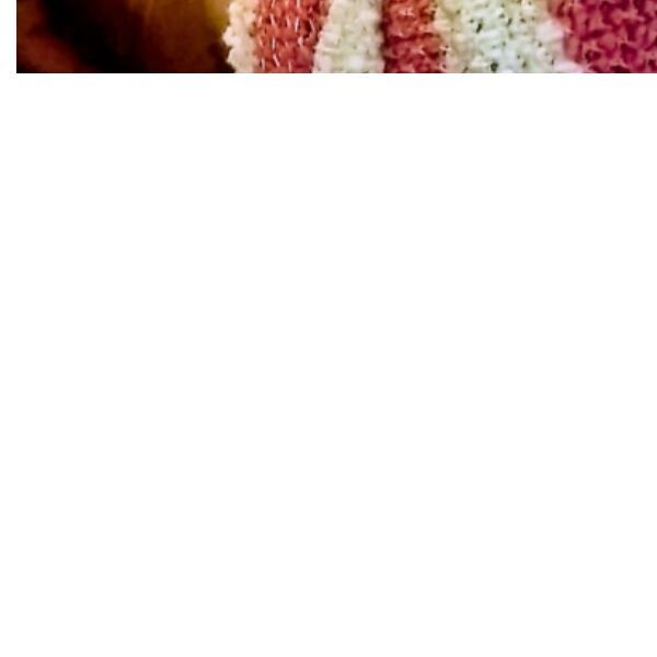 cartel de perro perdido