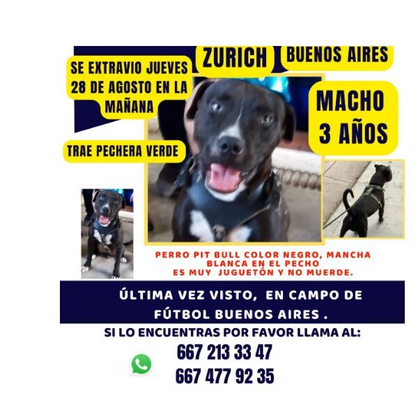 cartel de perro perdido