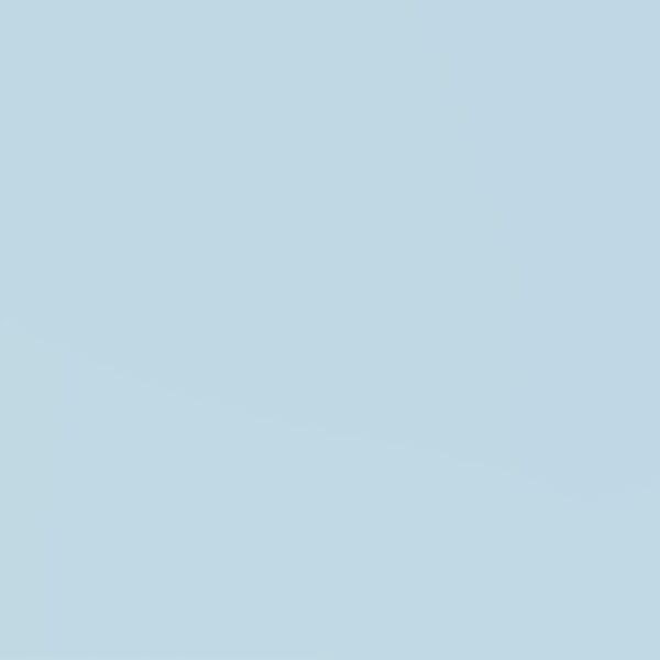 cartel de perro perdido