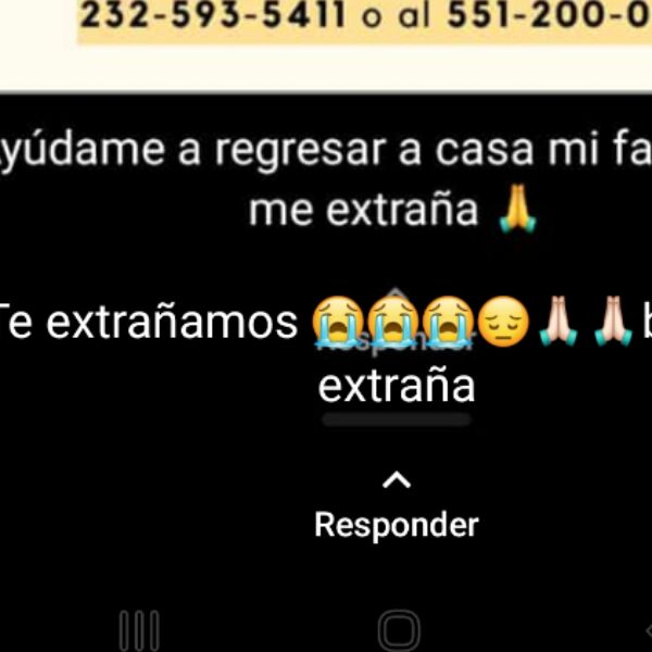 cartel de perro perdido