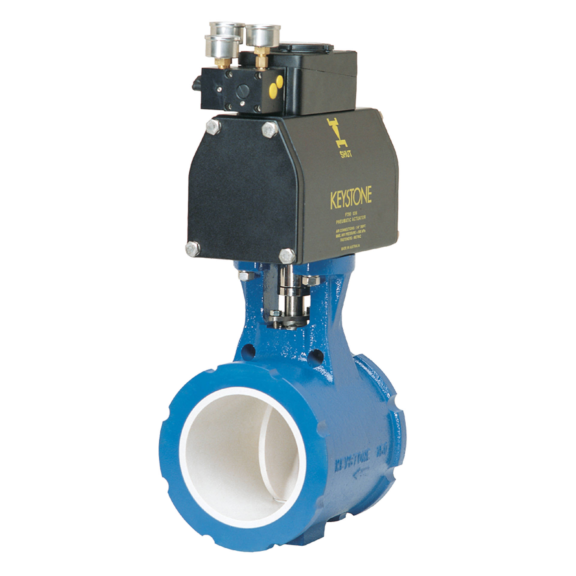 Van bướm slurry Keystone Figure 638 F638 Series E/Series 2