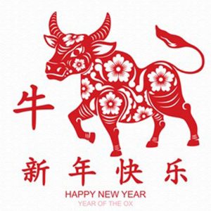 The Spring Festival -New Beginnings - Year of The Ox - The Past Perfect Collection