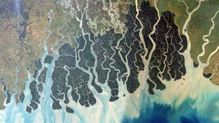 Earth Day 2023 - The Sundarbans Project - Estuaries in the Ganges Delta