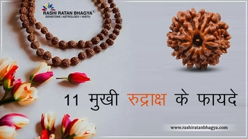 11 मुखी रुद्राक्ष के फायदे (11 Mukhi Rudraksha ke fayde)