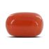 Red Coral (Moonga) - 5.36 Carat 
