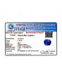 Blue Sapphire (Neelam) - 3.16 Carat 