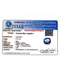 Blue Sapphire (Neelam) - 2.51 Carat 
