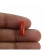 Natural Red Coral (Moonga) Capsule Cts 4.57 Ratti 5.02