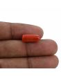 Red Coral (Moonga) - 5.25 Carat 