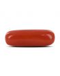 Red Coral (Moonga) - 6.33 Carat 