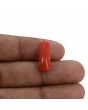 Red Coral (Moonga) - 7.46 Carat 