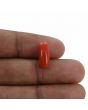 Red Coral (Moonga) - 4.23 Carat 