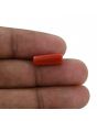 Red Coral (Moonga) - 4.18 Carat 