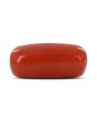 Red Coral (Moonga) - 3.94 Carat 