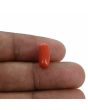Red Coral (Moonga) - 3.94 Carat 