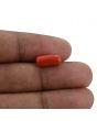Red Coral (Moonga) - 3.94 Carat 