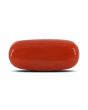 Red Coral (Moonga) - 3.88 Carat 