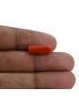Red Coral (Moonga) - 4.18 Carat 