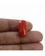 Red Coral (Moonga) - 18.61 Carat 