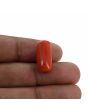 Red Coral (Moonga) - 13.16 Carat 