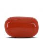 Red Coral (Moonga) - 12.49 Carat 
