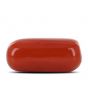Red Coral (Moonga) - 12.58 Carat 