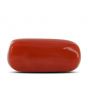 Red Coral (Moonga) - 12.58 Carat 