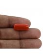 Red Coral (Moonga) - 12.58 Carat 